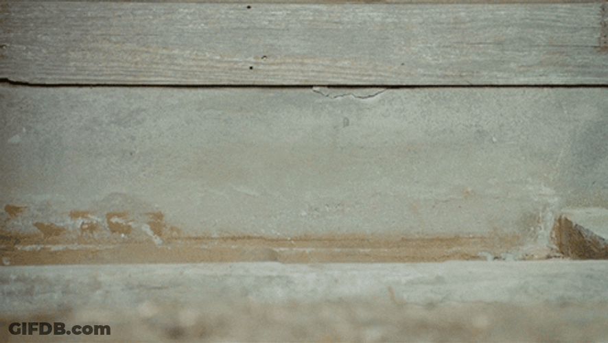 Peeking Interested GIF