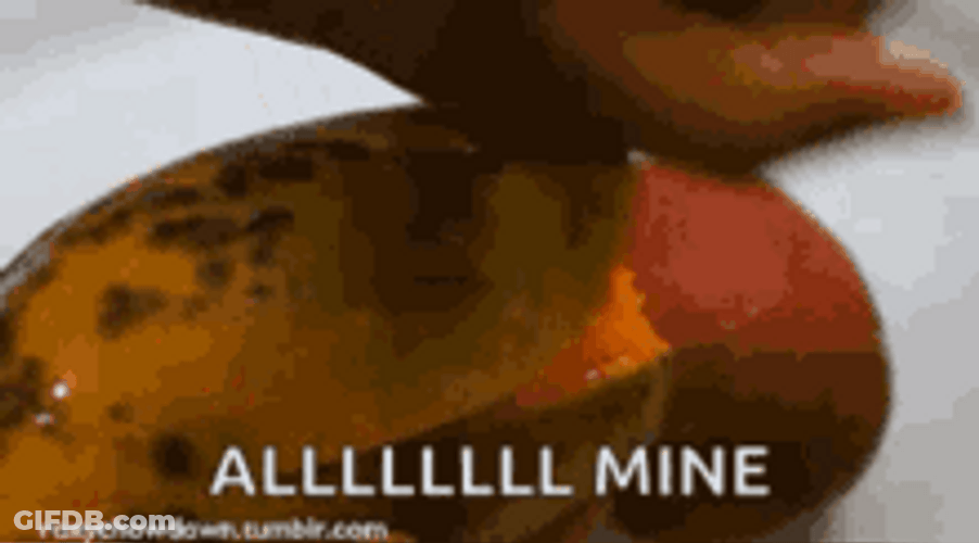 Peeling Juicy Mango Fruit GIF