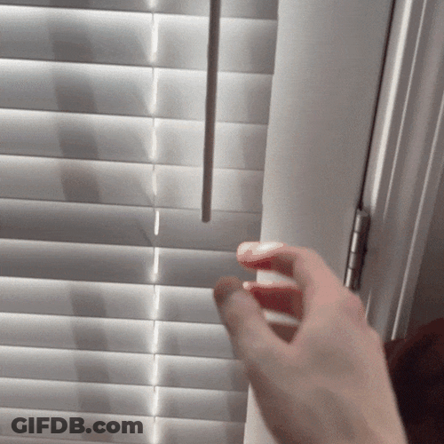 Peeping Tom Benjamin Caught Red Handed GIF
