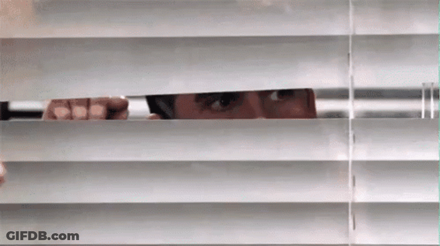 Peeping Tom Sneking Behind Blinds GIF