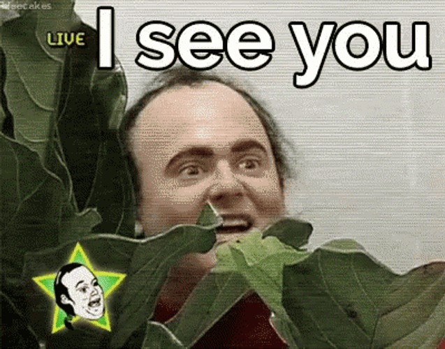 Peeping Tom Stalker Sneaking I See You GIF