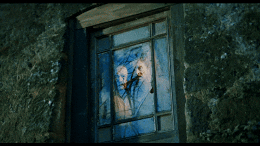 Peeping Toms Peeking Behind Foggy Window GIF