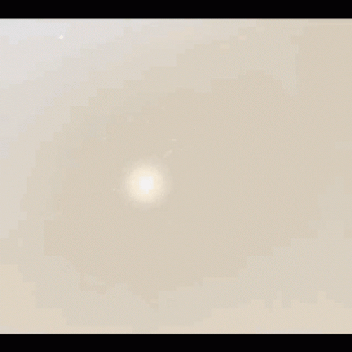 Peeps Marshmallow Bunnies GIF