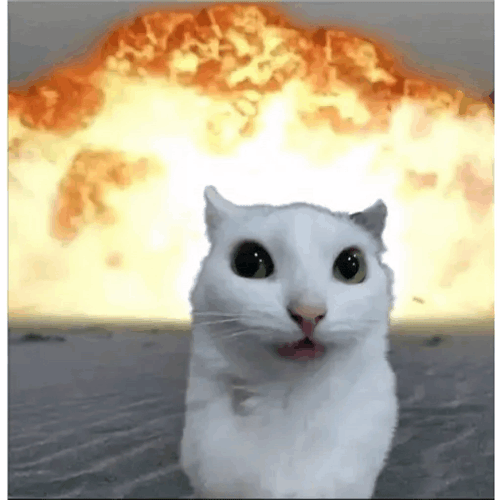 Pelacito Cat Meme Meme GIF