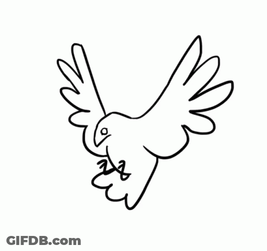 Pencil Drawing Bird Flying GIF