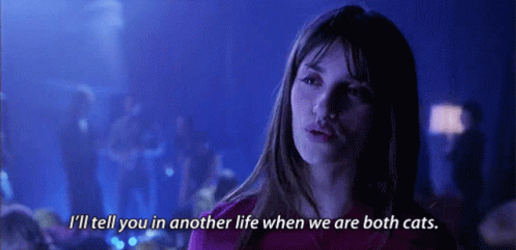 Penelope Cruz When We Are Both Cats GIF