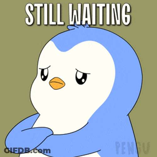 Pengu Pudgy GIF