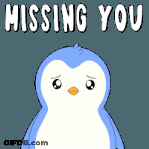 Pengu Pudgy Sticker GIF