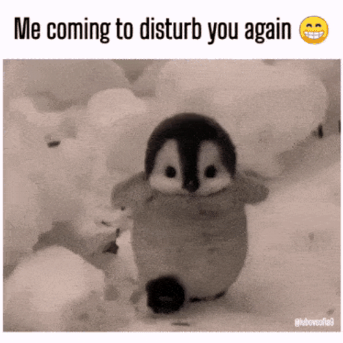 Penguim Cute GIF