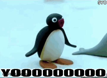 Penguin And Seal Saying Yoooooo GIF