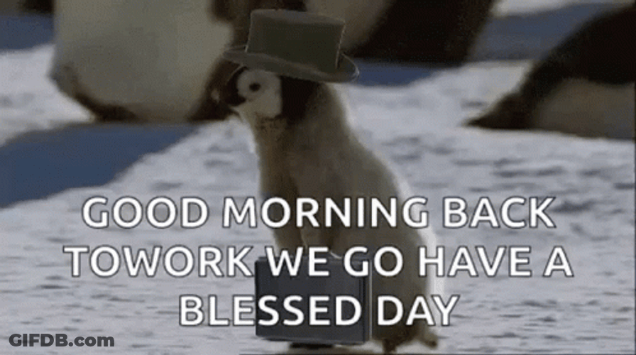 Penguin Back To Work Monday GIF