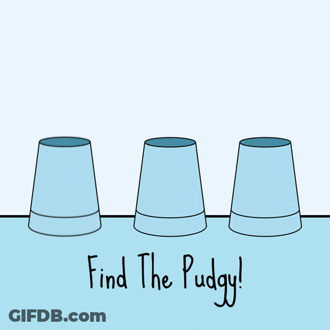Penguin Balancing Cup On Head Find The Puggy GIF