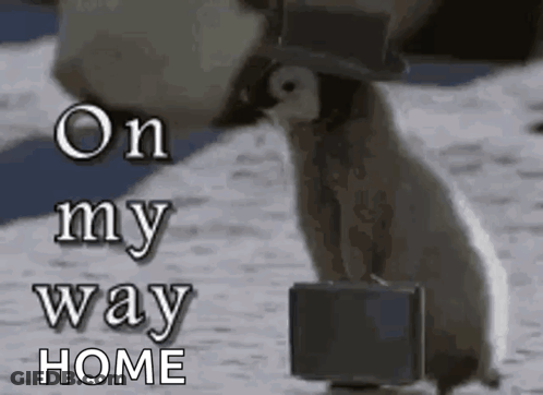 Penguin Carrying Briefcase And Wearing Top Hat GIF