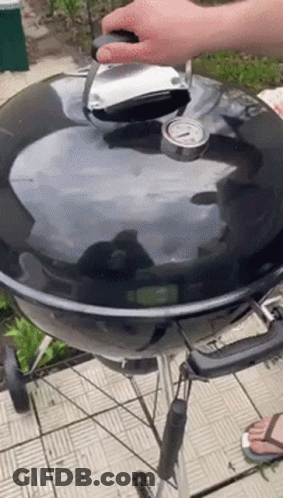 Penguin Chef Grilling Steaks GIF