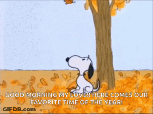 Penguin Coming Out Of Egg Saying Hello Fall Y'all GIF