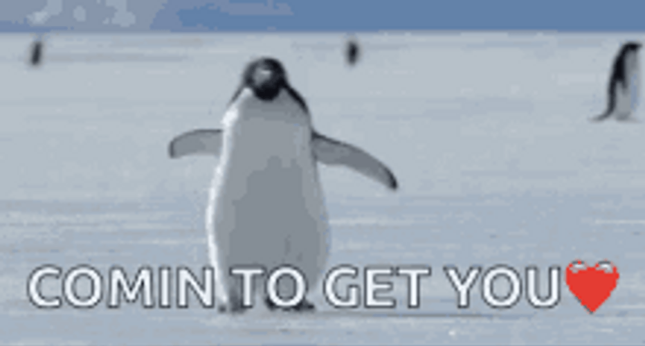 Penguin Coming To Get You GIF