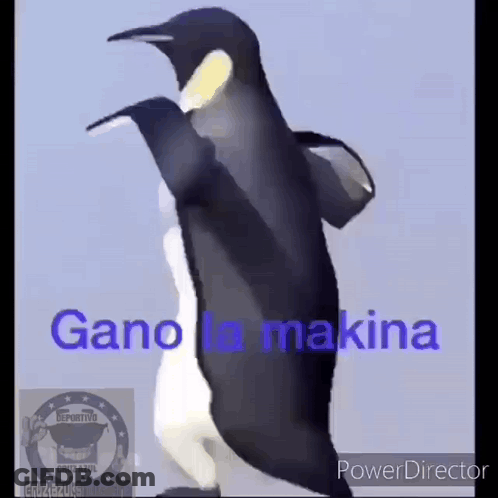 Penguin Dancing Gano La Makina GIF
