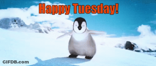 Penguin Dancing In Snow Happy Tuesday GIF