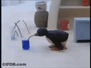 Penguin Drinking From Blue Glass GIF