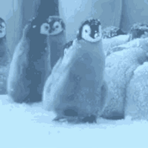 Penguin Flapping Flippers GIF