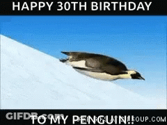 Penguin Flying Over Snowy Hill Saying Happy 30Th Birthday GIF