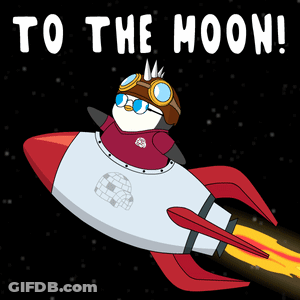 Penguin Flying Rocket To The Moon GIF