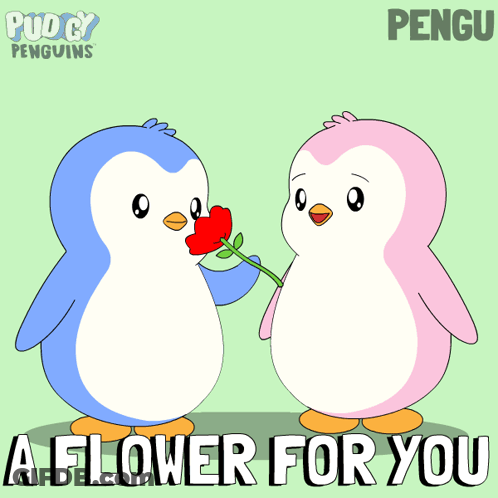 Penguin Giving Flower Saying A Flower For You GIF
