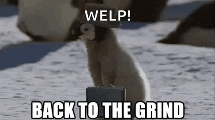 Penguin Grind GIF