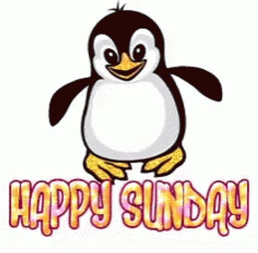 Penguin Happy Sunday GIF