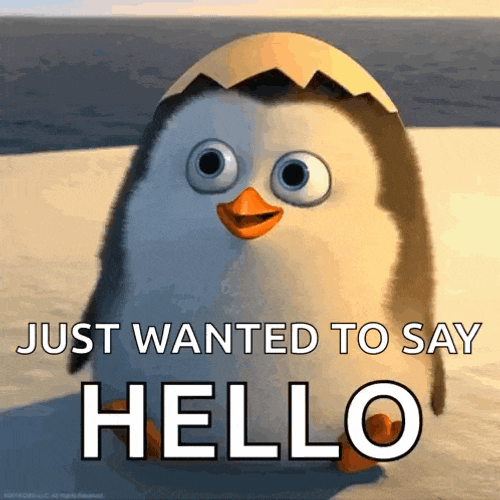 Penguin Hello GIF