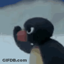 Penguin Holding Apple In Snow GIF