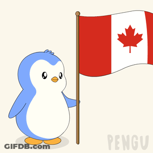 Penguin Holding Canadian Flag With Maple Leaf GIF