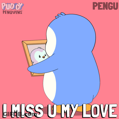 Penguin Holding I Miss U My Love GIF