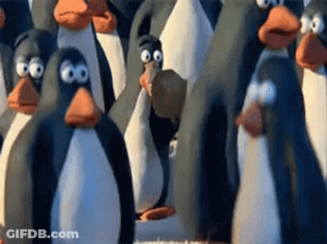 Penguin Hyperventilating GIF