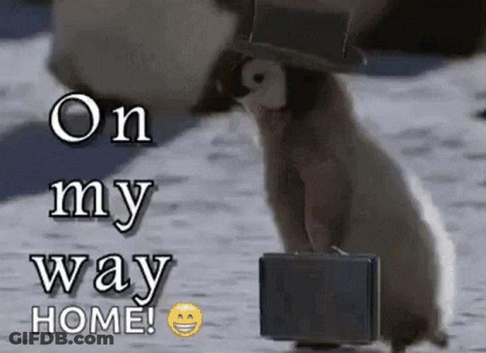 Penguin Im Going Home GIF