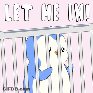 Penguin In Cage Let Me In GIF