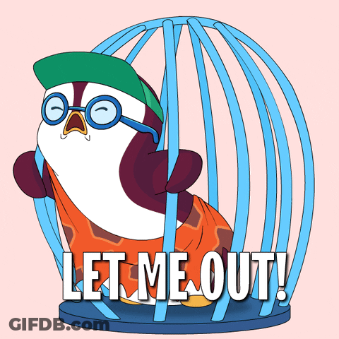 Penguin In Cage Saying Let Me Out GIF