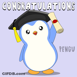 Penguin In Graduation Cap Holding Diploma GIF