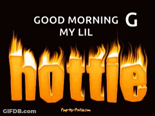 Penguin In Pirate Hat Holding Coffee GIF