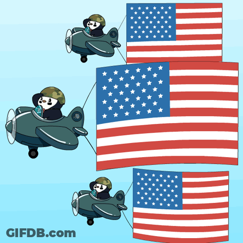 Penguin In Plane With American Flag GIF
