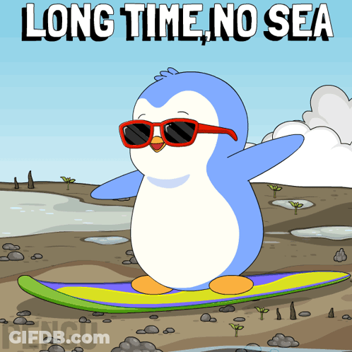 Penguin In Red Sunglasses Riding Surfboard Long Time No Sea GIF