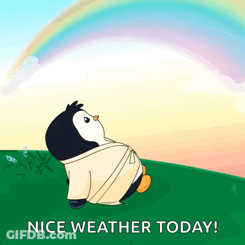Penguin In Robe Looking At Rainbow Nice Weather GIF