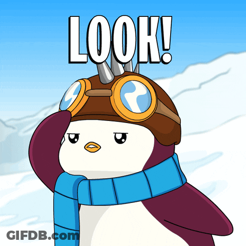 Penguin In Scarf And Goggles Saying Look GIF