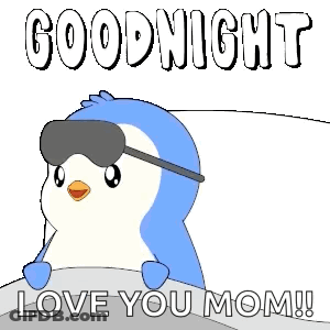 Penguin In Sleep Mask Says Goodnight Love You Mom GIF