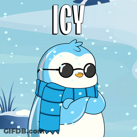 Penguin In Sunglasses And Scarf Icy GIF