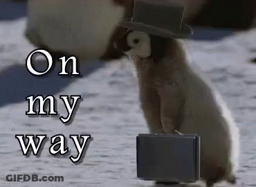 Penguin In Top Hat Carrying Briefcase GIF