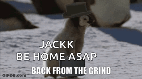Penguin In Top Hat Carrying Laptop GIF
