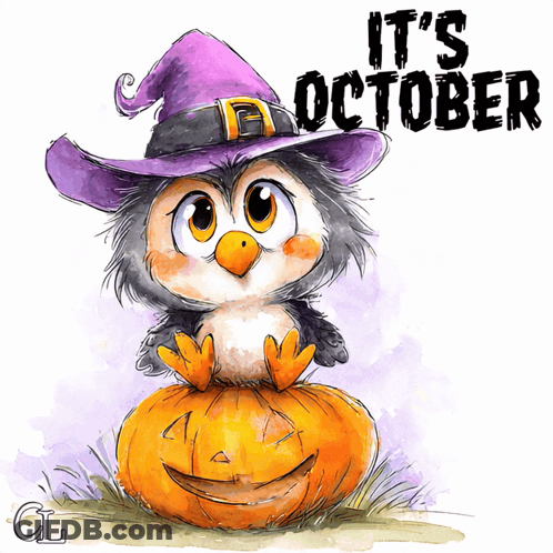 Penguin In Witch Hat On Pumpkin GIF