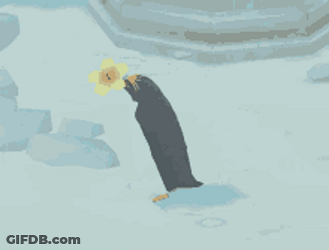 Penguin Isle Game Planting Flower GIF