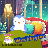 Penguin Laying On Bed Saying Right Washington GIF